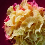 Haluski (Cabbage and Noodles) First Image