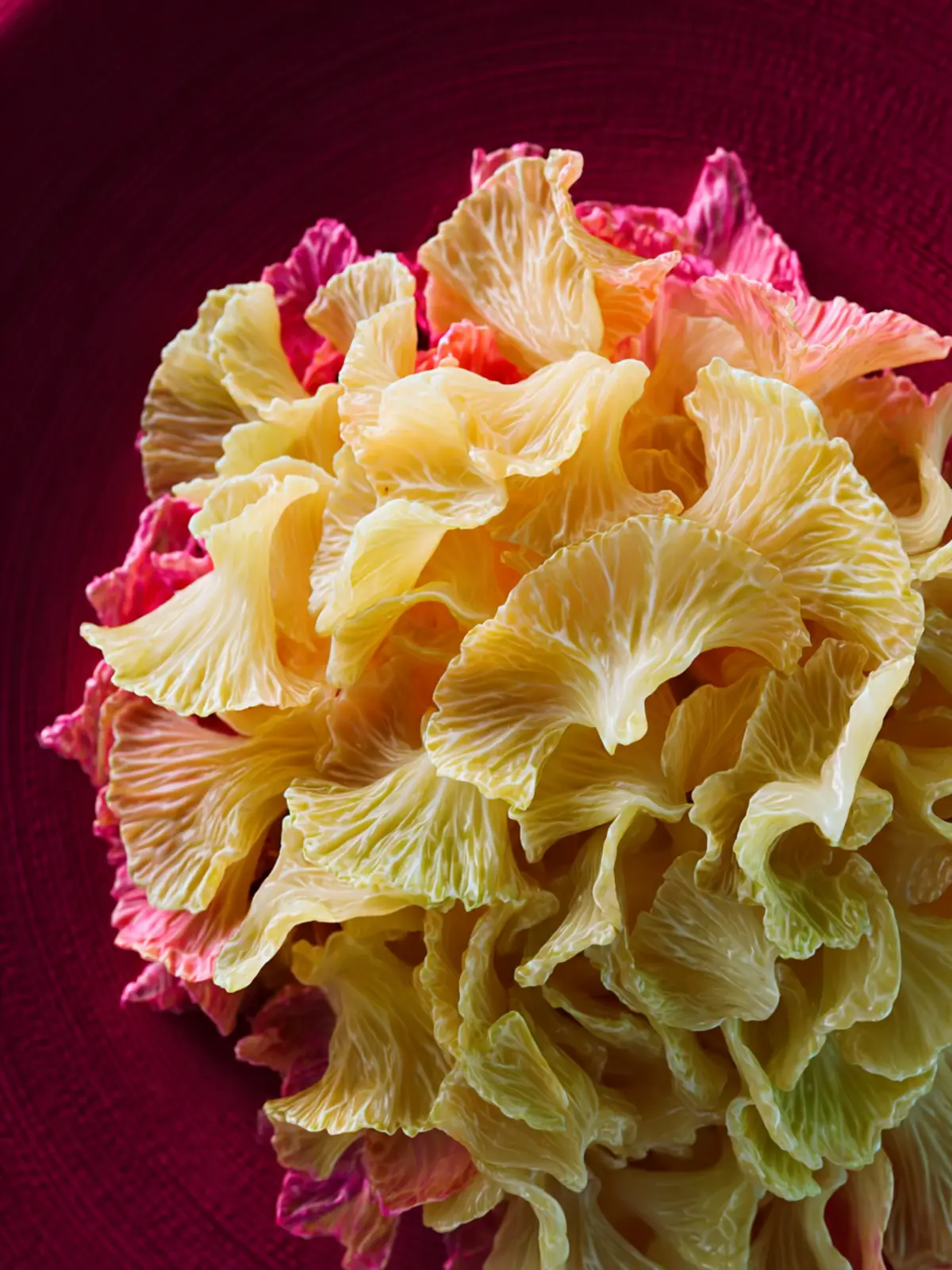 Haluski (Cabbage and Noodles) First Image